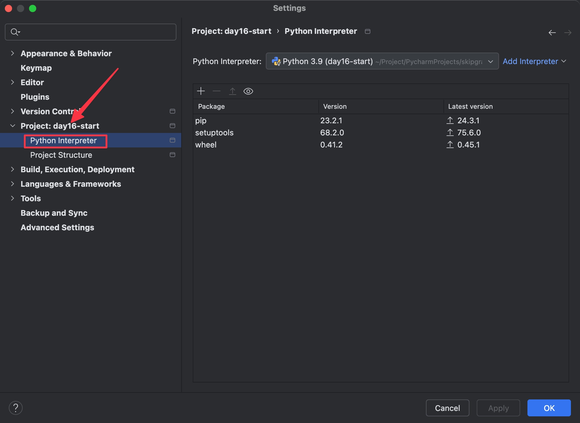 Python Interpreter选项卡